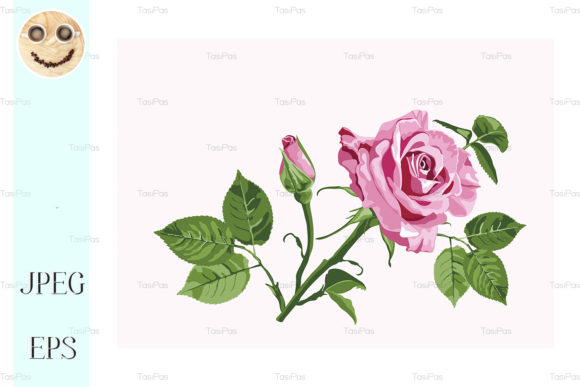 Download Vector Greeting Card with Pink Roses - Vector Collection